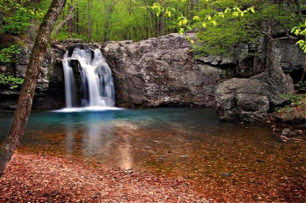 Secluded Home With Mini Waterfall And A Creek In Хот-Спрингс Экстерьер фото